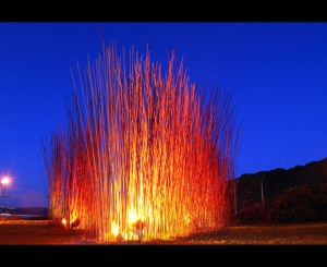 Pacific Grass, Kinetic sculpture, Wellington- Konstantin Dimopoulos (Photo)